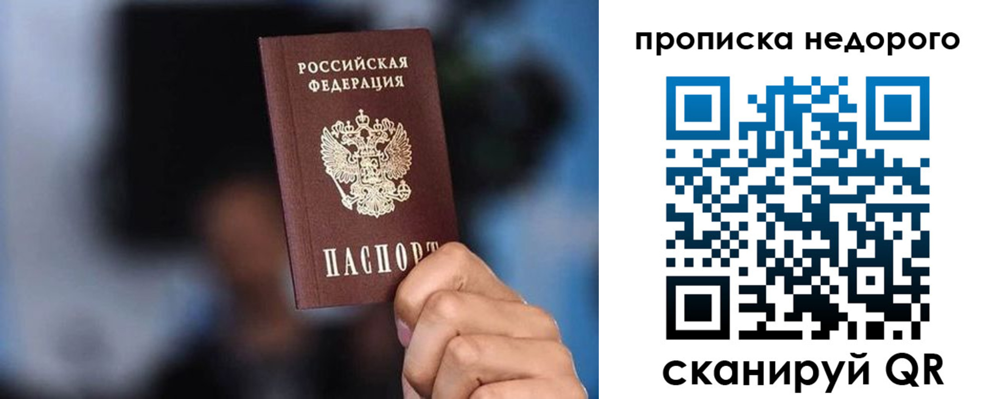 временная регистрация поиск в Волгоградской области